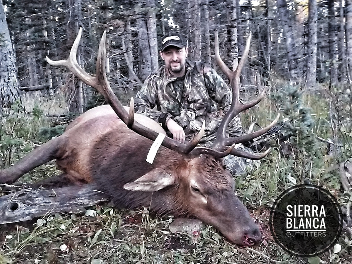 Gila National Forest Hunts